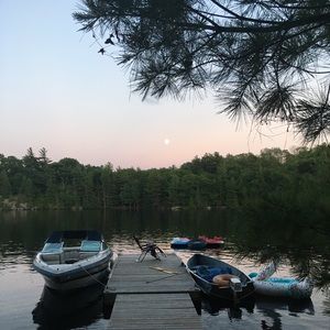 Meet your Posher, Dominique